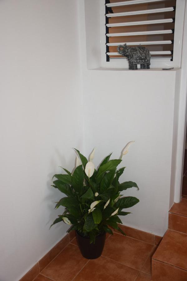 Garoe Acogedor Apartamento Araya  외부 사진
